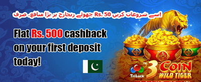 روزانہ اسپن promotion banner