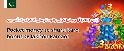 وی آئی پی ریوارڈز promotion banner